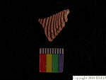 L_V22d6551 A16q682.1 T921 dM sh f202